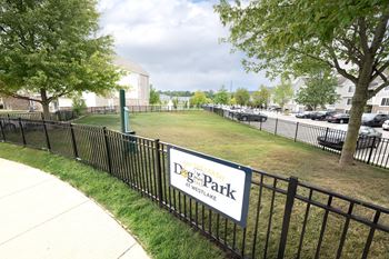 Pet park